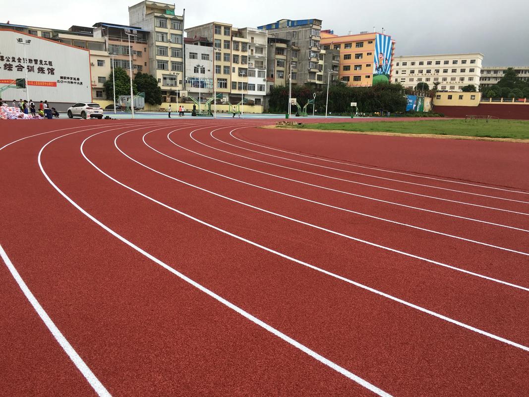 保定市EPDM颗粒塑胶跑道材料 - 推荐